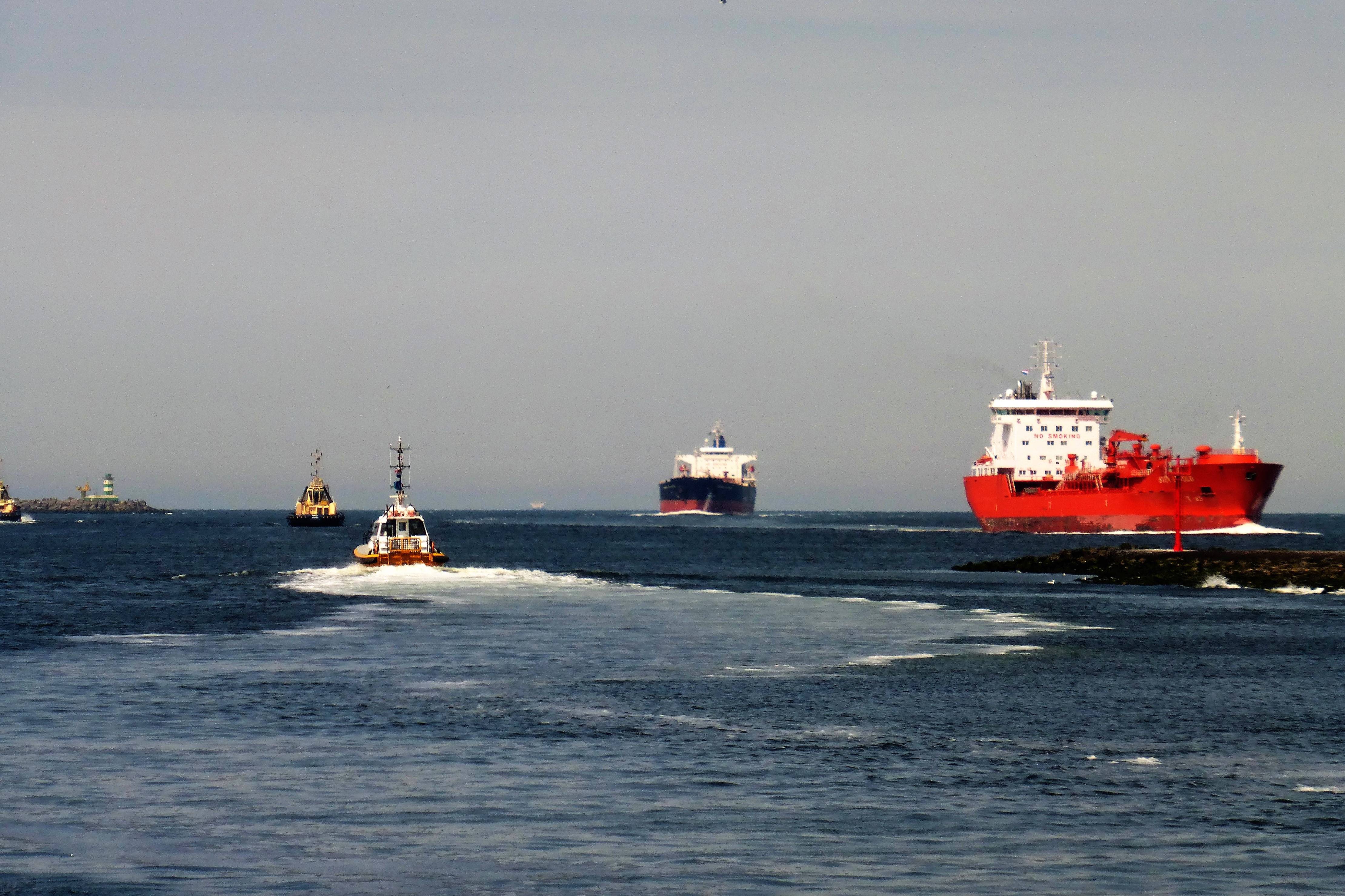 Pieren IJmuiden   03-06-20 